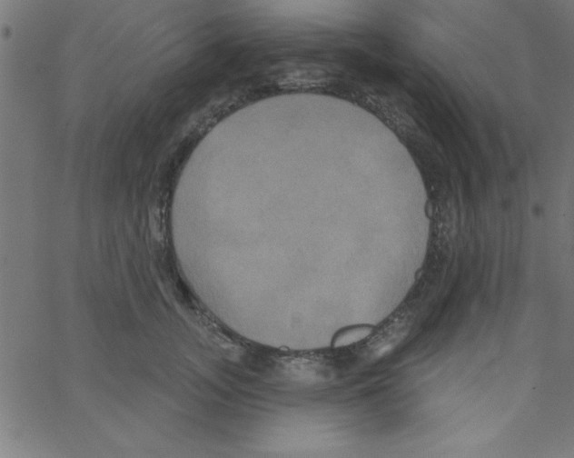 X0000067390755200604281842