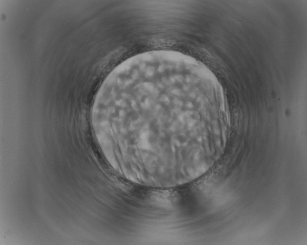 X0000067390757200604281842