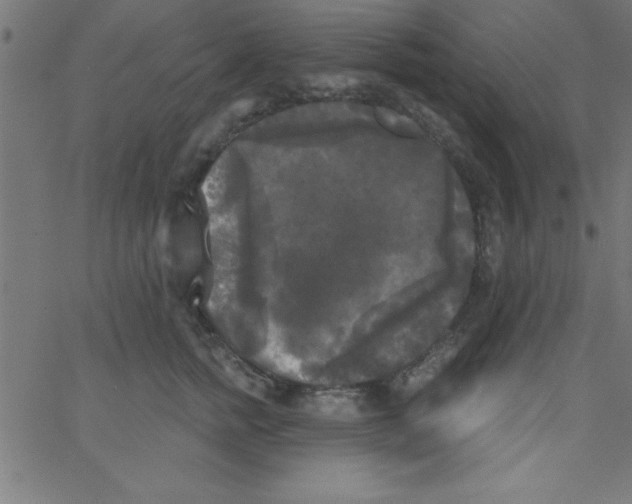 X0000067390758200604281842