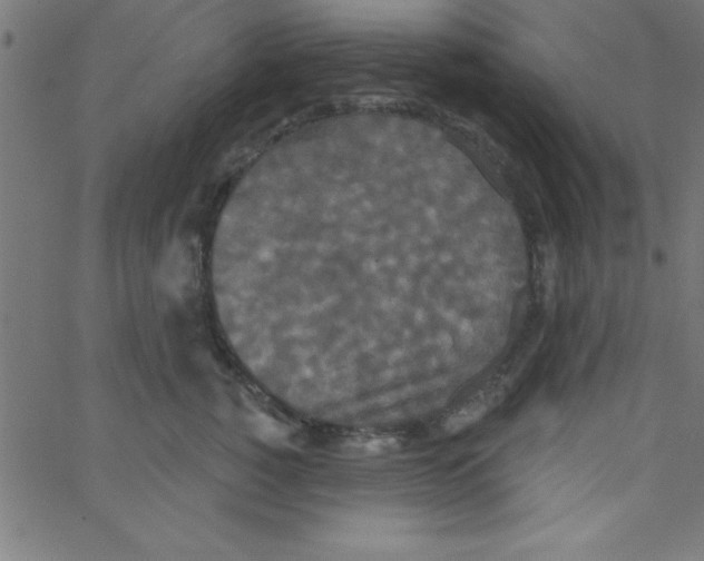 X0000067390760200604281842