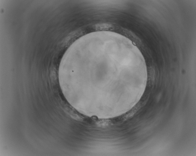 X0000067390761200604281842