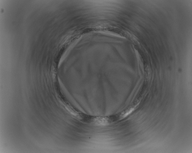 X0000067390762200604281842