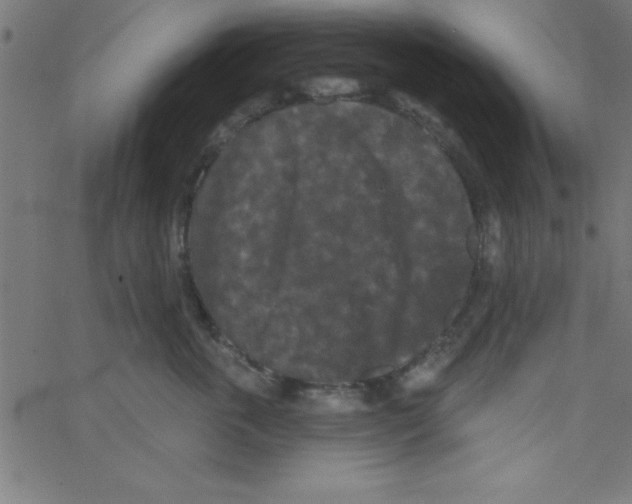 X0000067390763200604281842