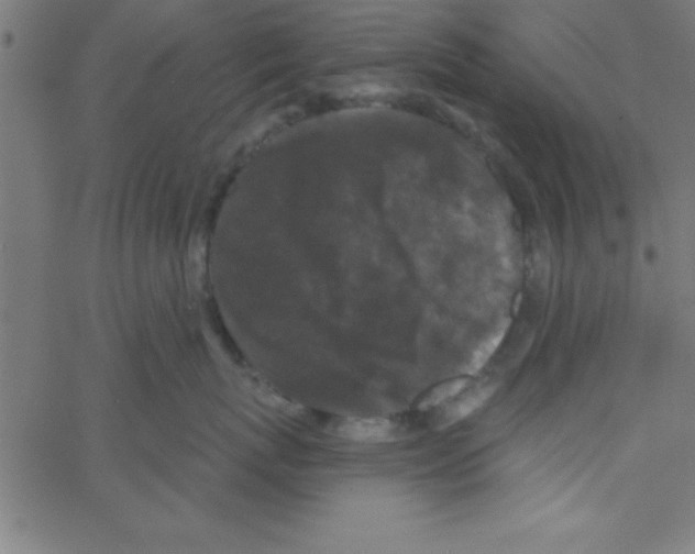 X0000067390767200604281842