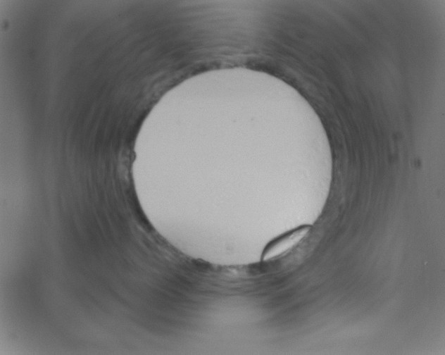 X0000067390768200604281842