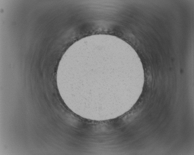 X0000067390769200604281841