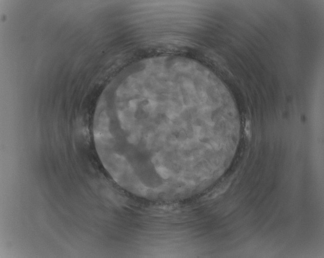 X0000067390771200604281841