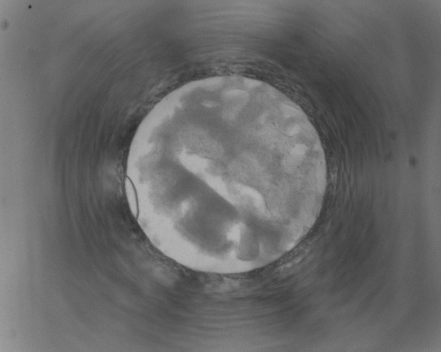 X0000067390772200604281841