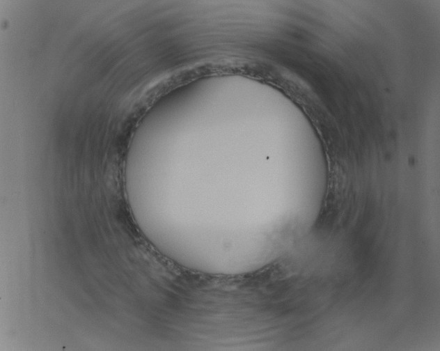 X0000067390773200604281841