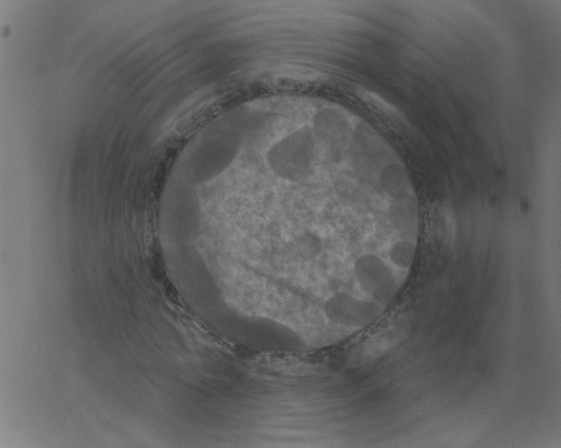 X0000067390774200604281841