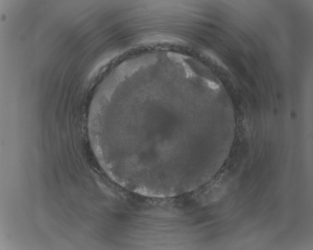 X0000067390775200604281841