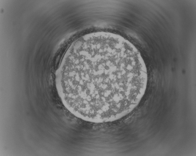 X0000067390776200604281841