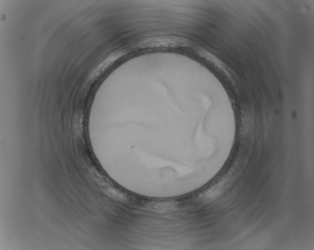 X0000067390778200604281841