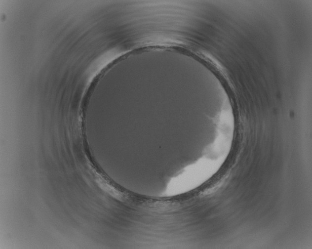 X0000067390779200604281841