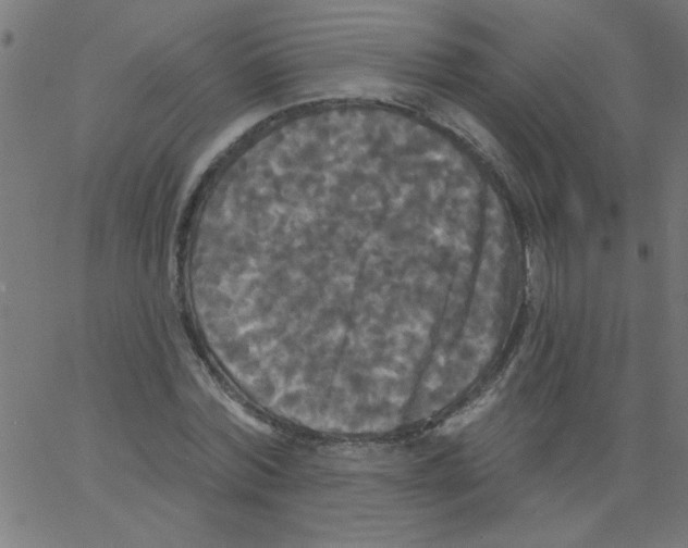 X0000067390780200604281841