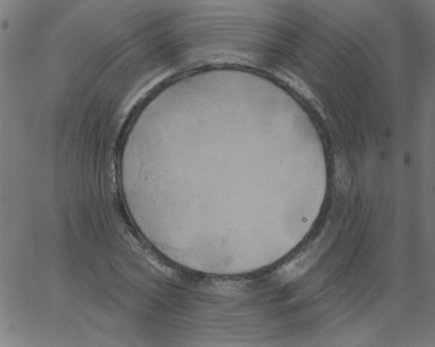 X0000067390782200604281841