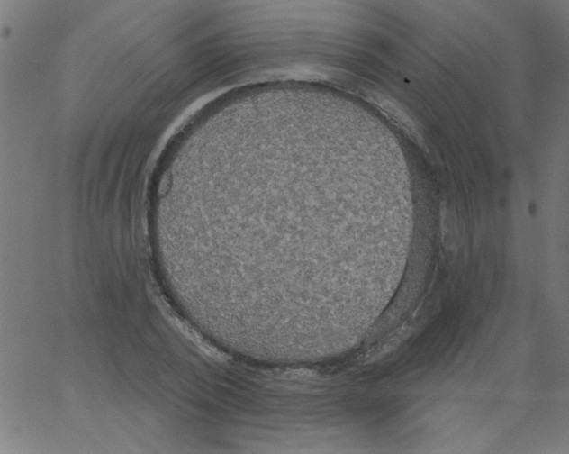 X0000067390784200604281841