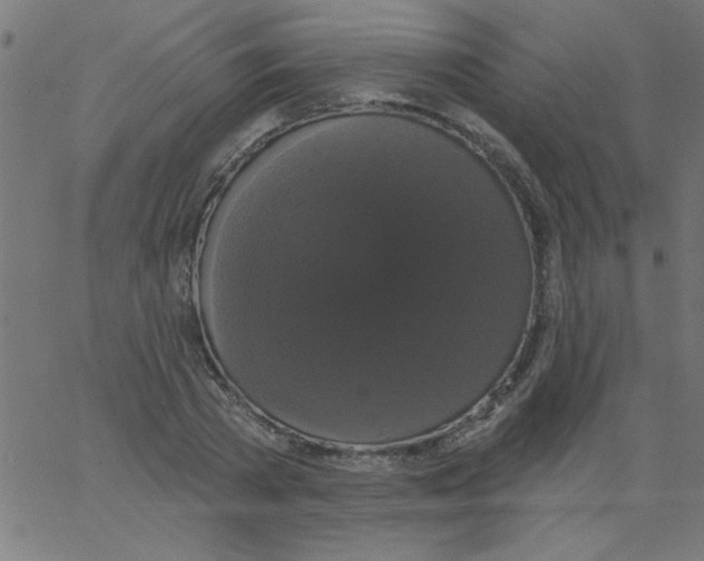 X0000067390785200604281841