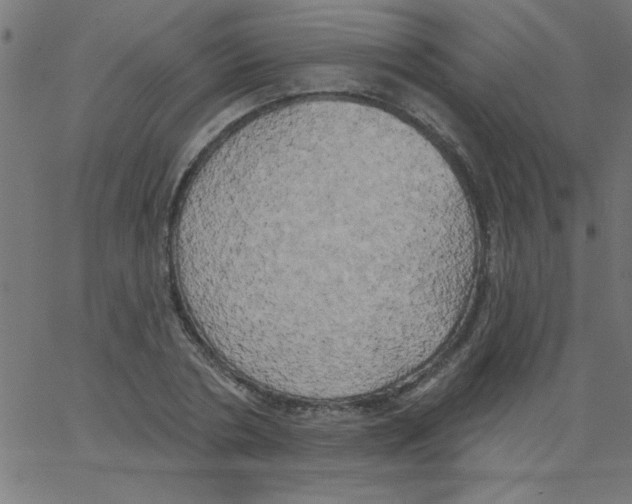 X0000067390786200604281841