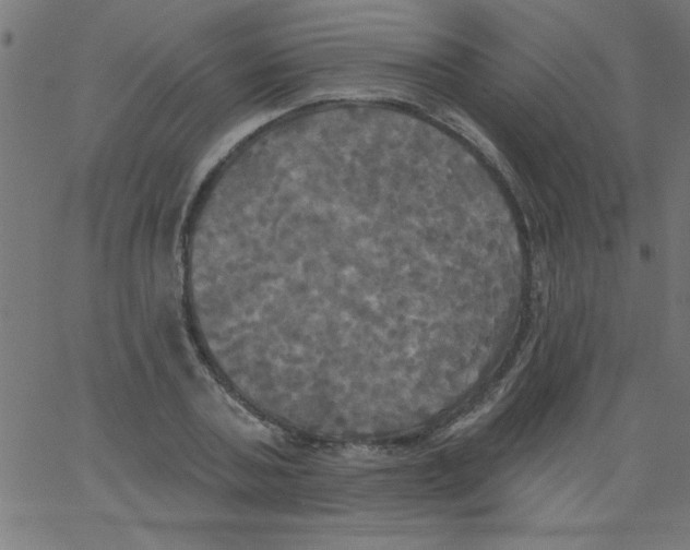 X0000067390787200604281841