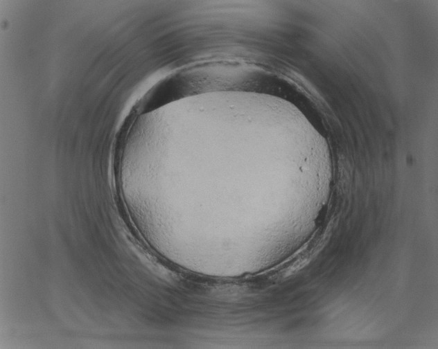 X0000067390788200604281841