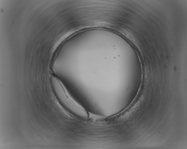 X0000067390789200604281841