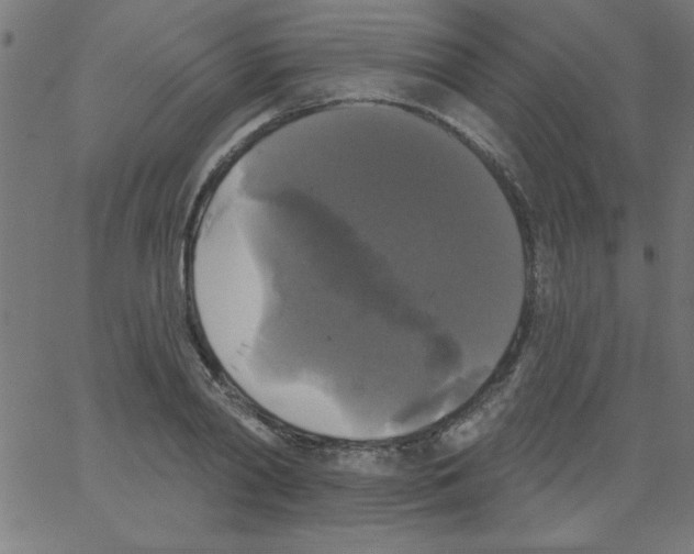 X0000067390790200604281841