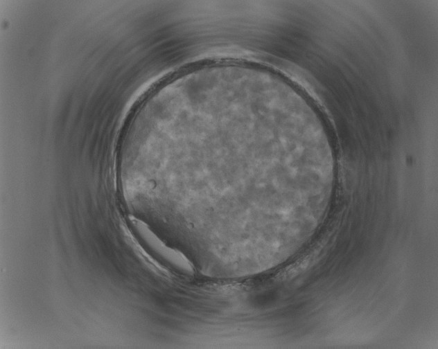 X0000067390791200604281841