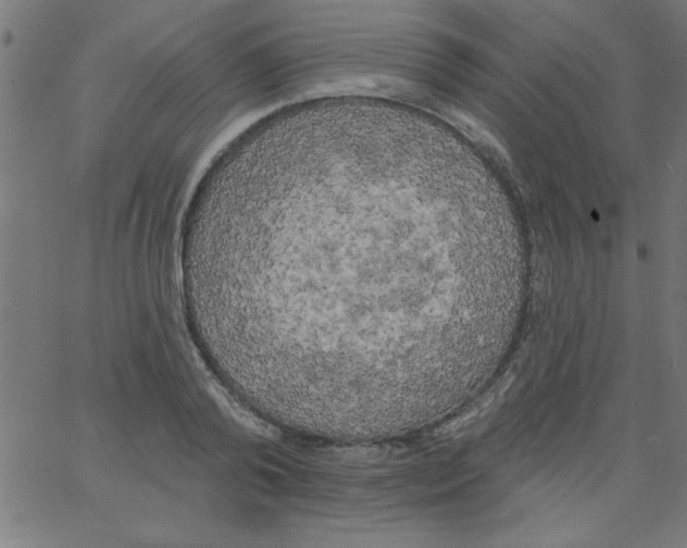 X0000067390792200604281841