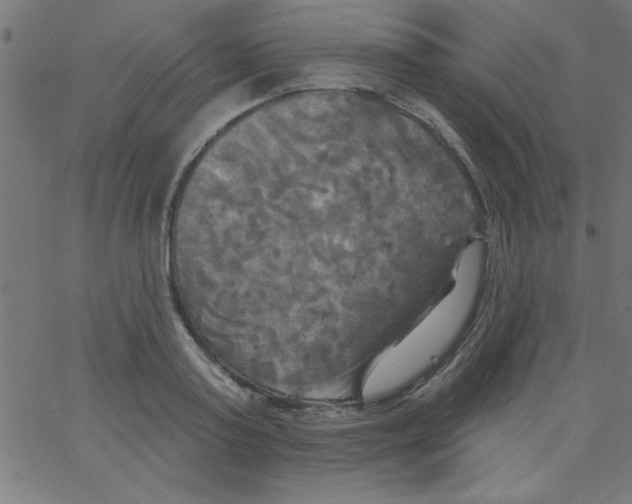 X0000067390795200604281841