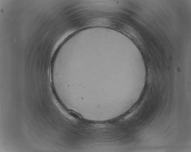 X0000067390796200604281841