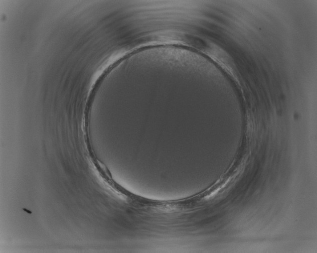 X0000067390797200604281841