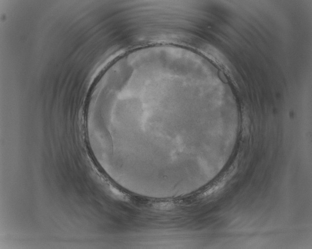 X0000067390798200604281841