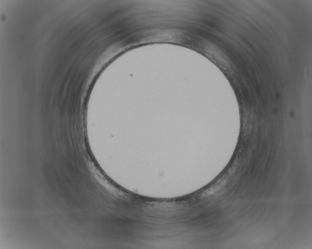 X0000067390800200604281841