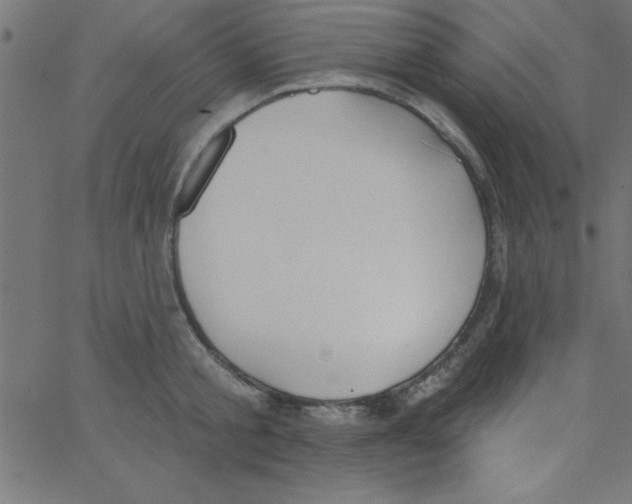 X0000067390805200604281841