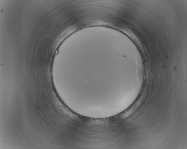 X0000067390806200604281841