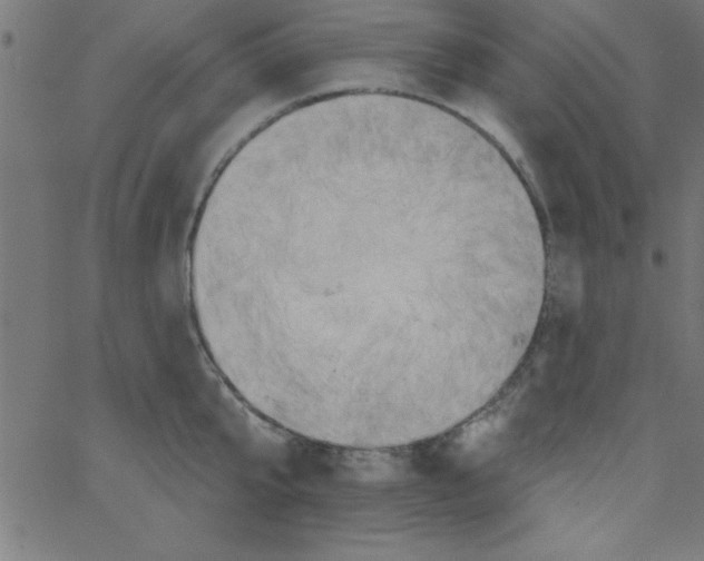 X0000067390807200604281841