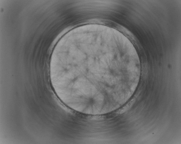 X0000067390808200604281841