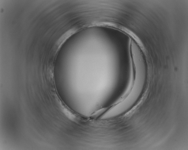 X0000067390809200604281841