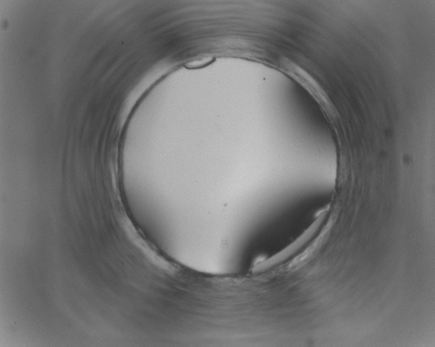 X0000067390812200604281840