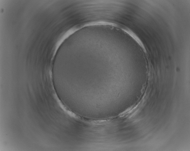 X0000067390813200604281840