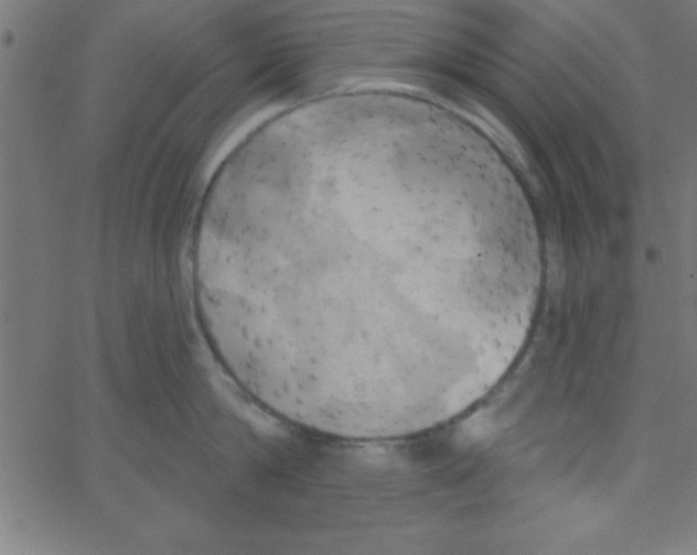 X0000067390814200604281840