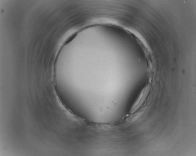 X0000067390815200604281840