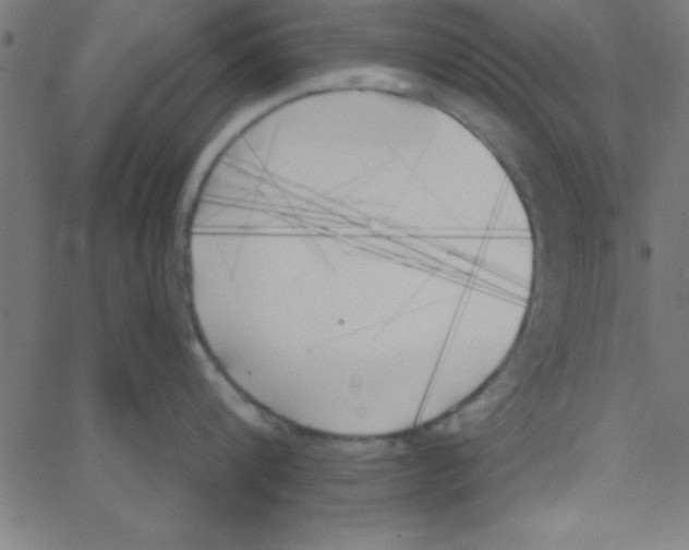 X0000067390816200604281840