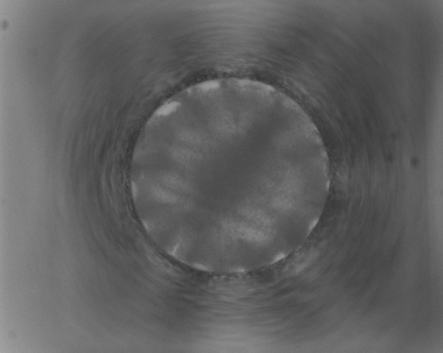 X0000067390817200604281840