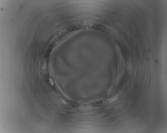 X0000067390818200604281840