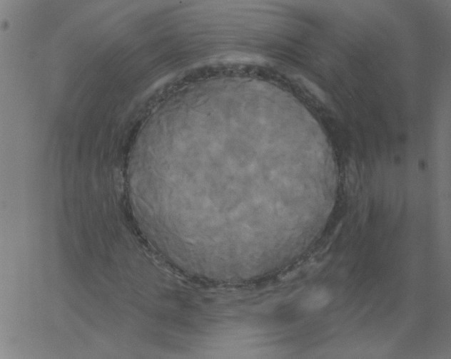 X0000067390821200604281840