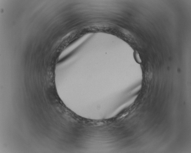 X0000067390822200604281840