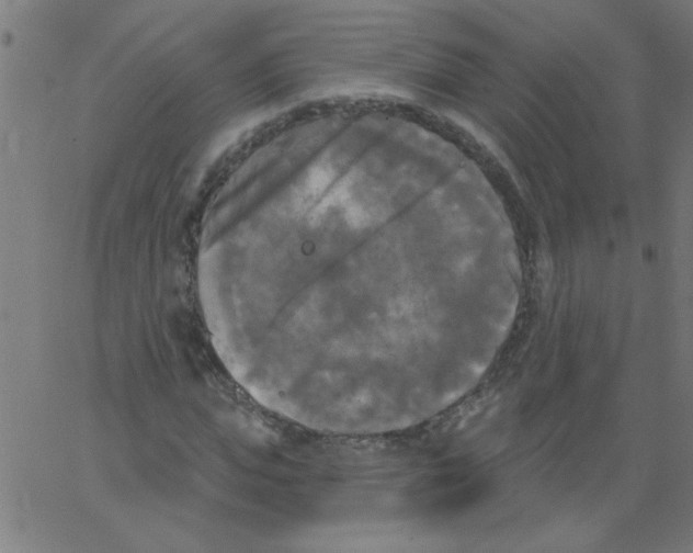 X0000067390823200604281840