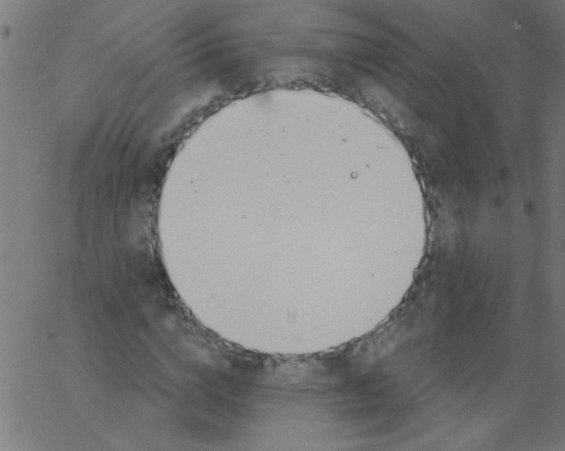 X0000067390824200604281840